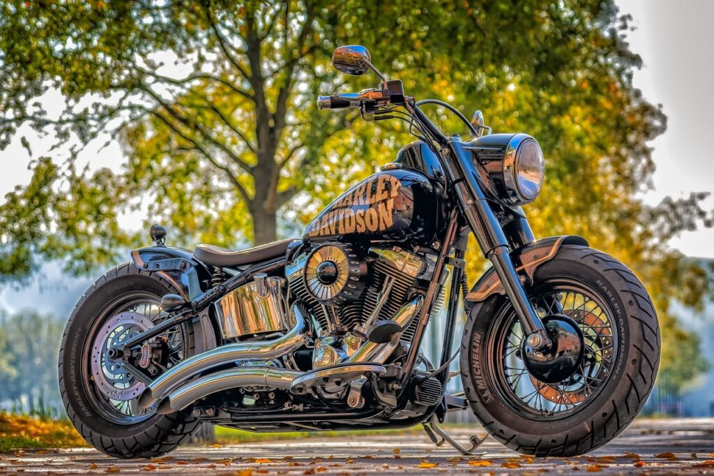 types of motorbikes, harley davidson